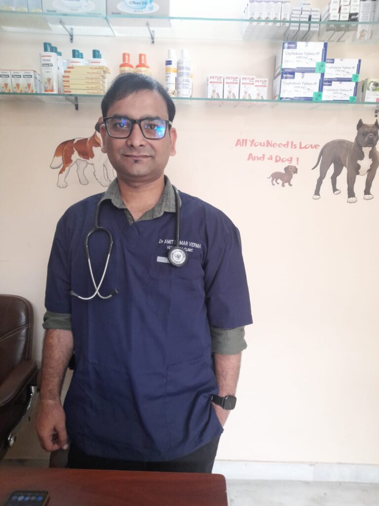 Best Veterinary Clinic in Ghaziabad