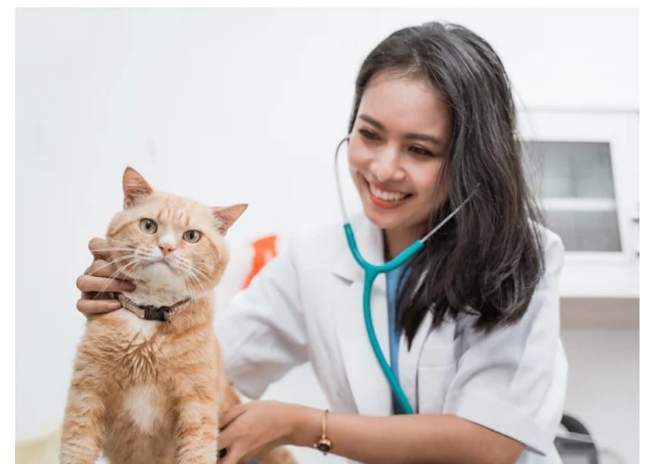 Best Veterinary Clinic in Ghaziabad