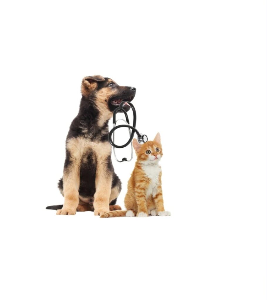 Best veterinary care provider